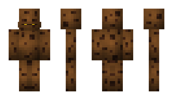 Minecraft skin CodeDog
