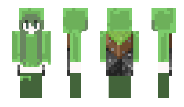 Minecraft skin 5v1s