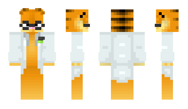 Minecraft skin DrTonyTony