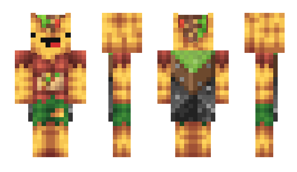 Minecraft skin drorob