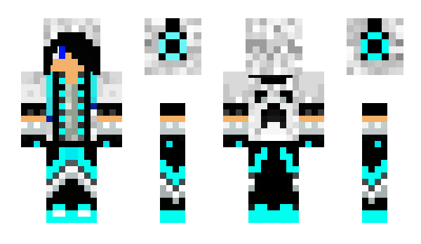 Minecraft skin TigreGris