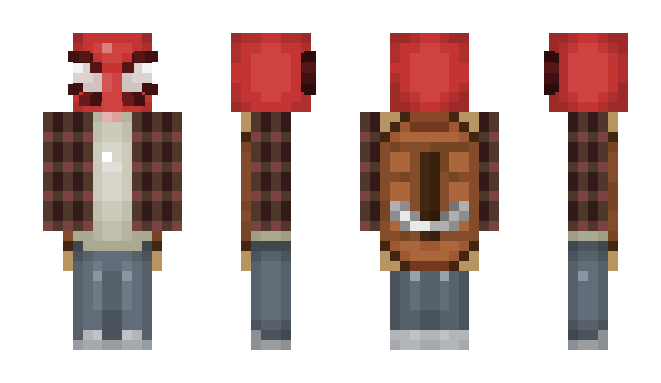 Minecraft skin SnowyRayy