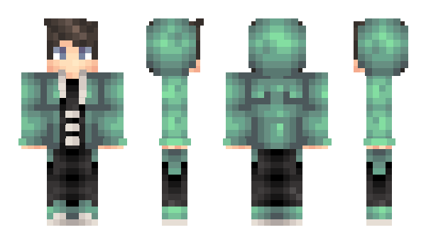 Minecraft skin Geezeur