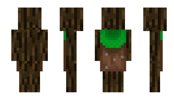 Minecraft скин по нику rigipidor