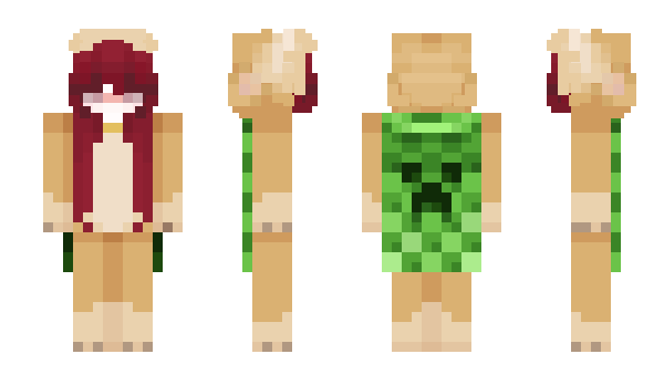 Minecraft skin userpoli