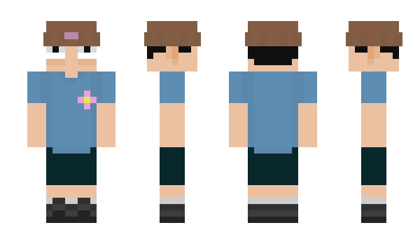 Minecraft skin Nupp_