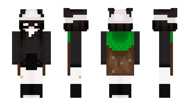 Minecraft skin dzi4dekd0spani4