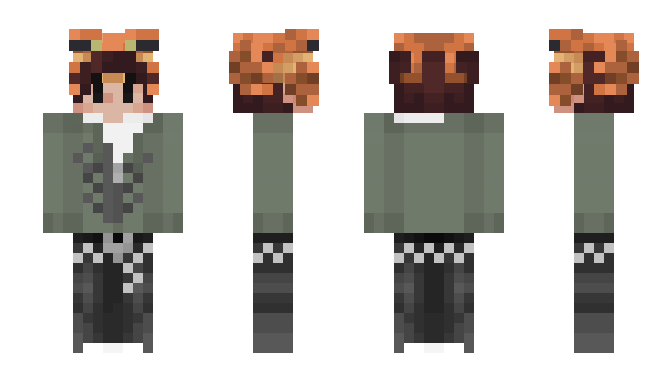 Minecraft skin skul8
