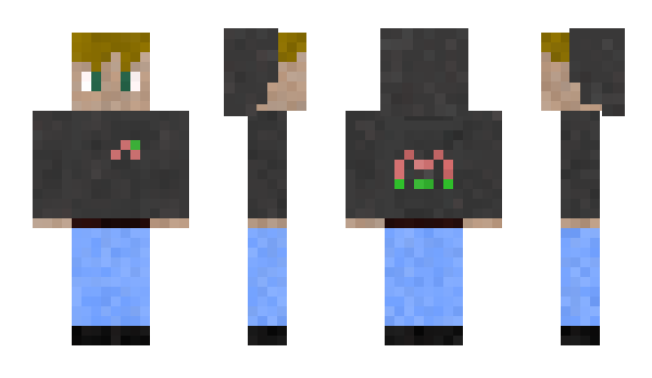 Minecraft skin Psgi