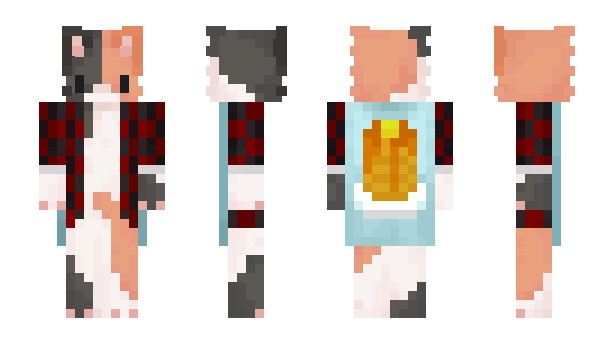 Minecraft skin SirMaji