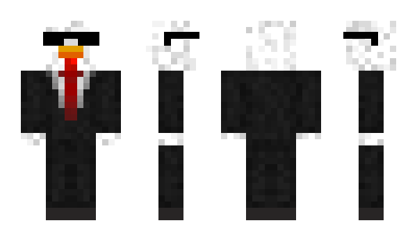 Minecraft skin HeyChickens