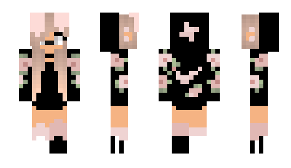 Minecraft skin Nuimons