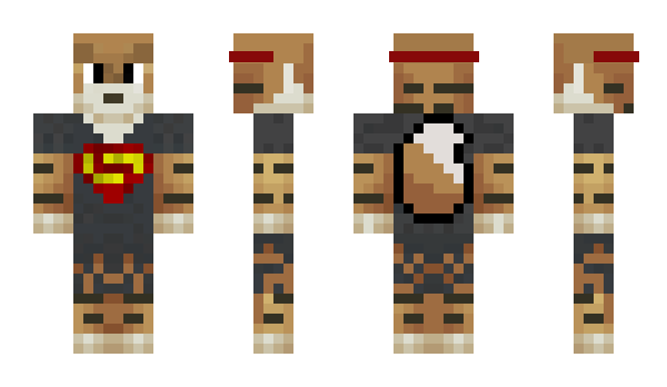 Minecraft skin megacocojr