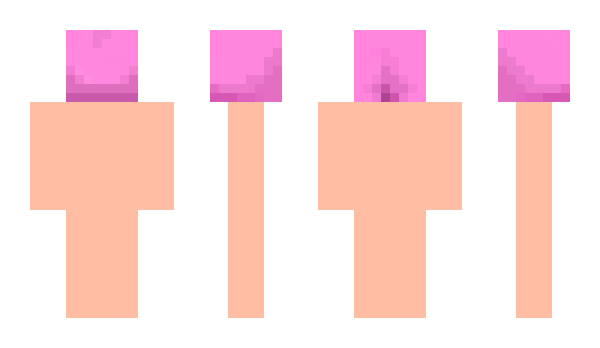 Minecraft skin wakamee