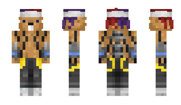 Minecraft skin bober095