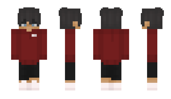 Minecraft skin 576