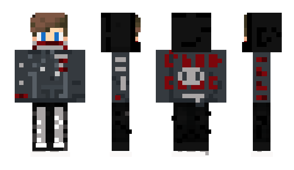Minecraft skin LinkAtsushii