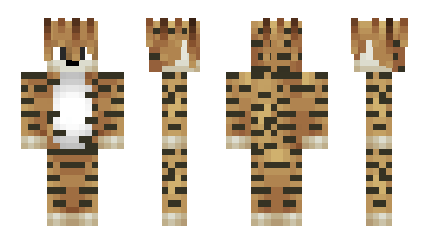 Minecraft skin Jegox