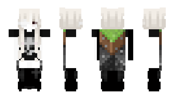 Minecraft skin lwochan