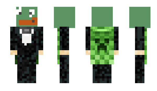 Minecraft skin fdLx