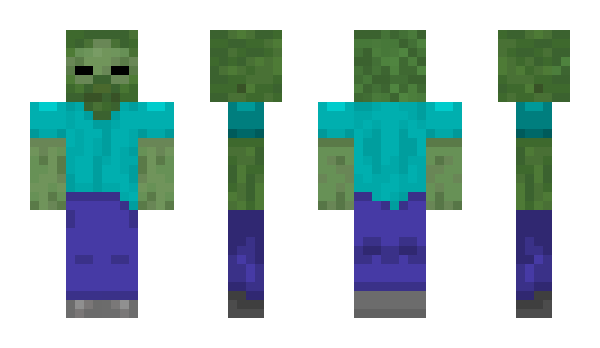 Minecraft skin WSPDani