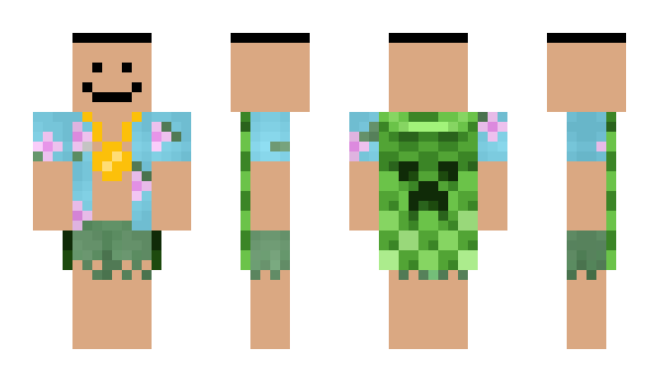 Minecraft skin cicloferon