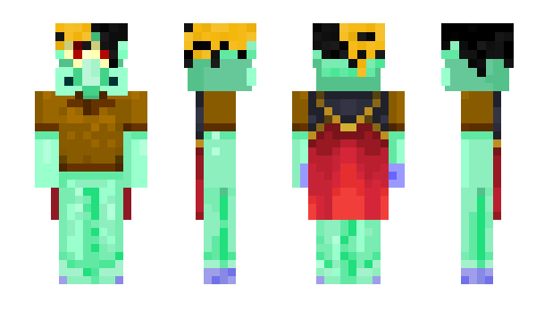 Minecraft skin R1r