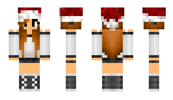 Minecraft skin dandadolphin