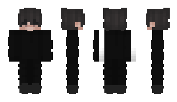 Minecraft skin PhantomCo