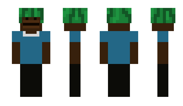 Minecraft skin nelsonm