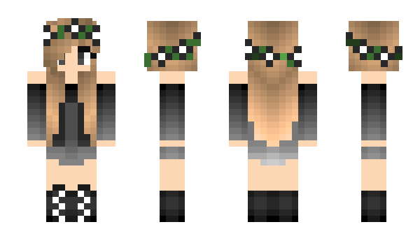 Minecraft skin SD11