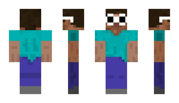 Minecraft skin wsh1431