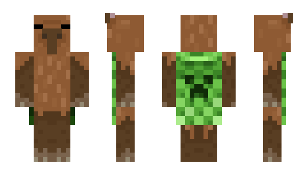 Minecraft skin 9pn0pn