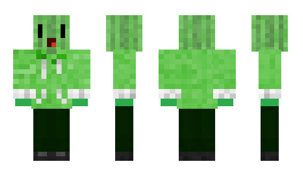 Minecraft skin Finn_Buschi