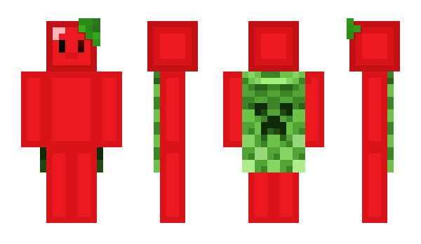 Minecraft skin Zerpy