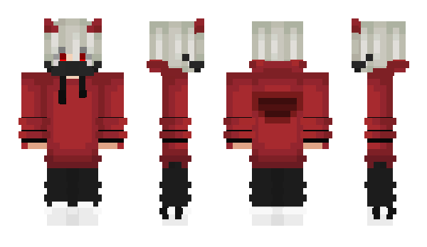 Minecraft skin MarkPolo