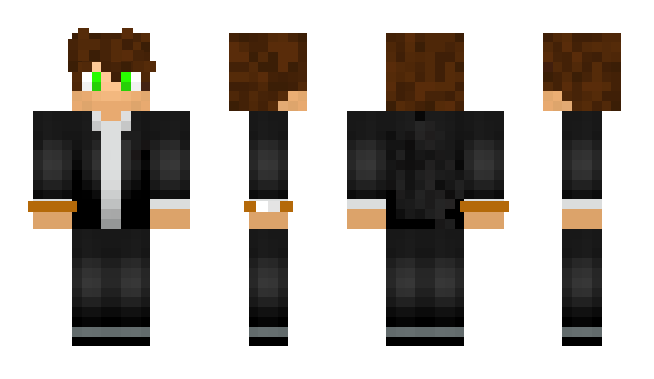 Minecraft skin _Bassiee_