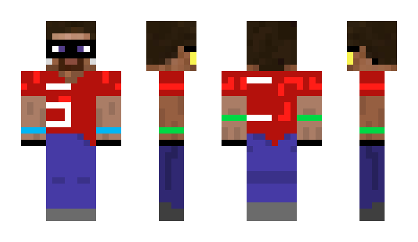 Minecraft skin gooseKing