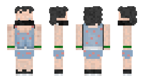 Minecraft skin Sulv