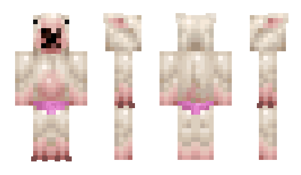 Minecraft skin Vivi