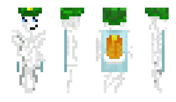 Minecraft скин по нику bussqb