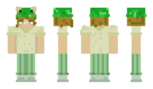 Minecraft skin AbiP