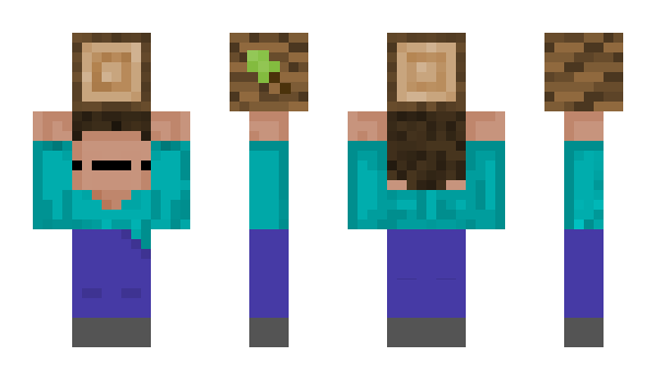 Minecraft skin Chimpasini