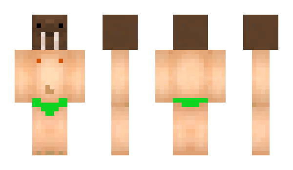 Minecraft skin Calebdowser