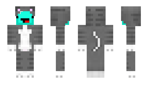 Minecraft skin Skeppys_Cat