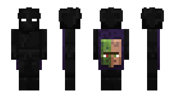 Minecraft skin Riskqify