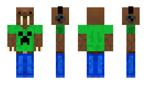 Minecraft skin Angi8