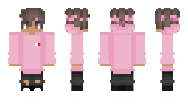 Minecraft skin bzrp