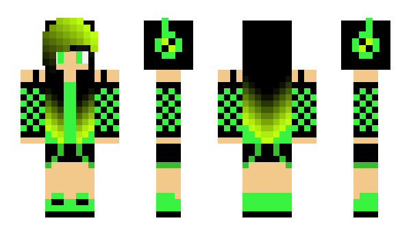 Minecraft skin NobleRevolver