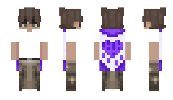 Minecraft skin wardae